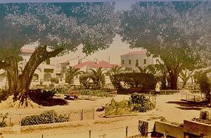 Relizane 504- Jardin public